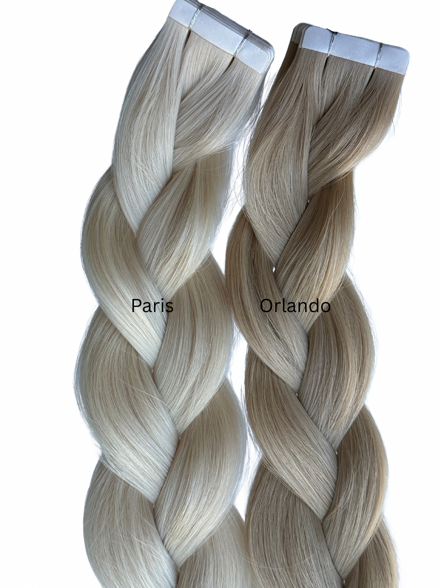 Orlando Oasis M18/613